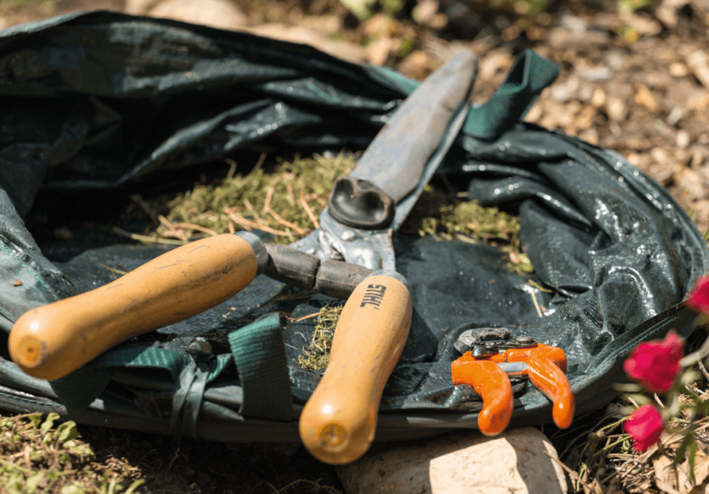 Vente de cisailles et sécateurs jardin