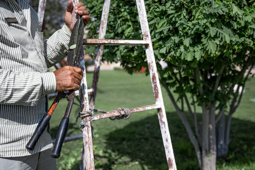 vente de cisailles jardin