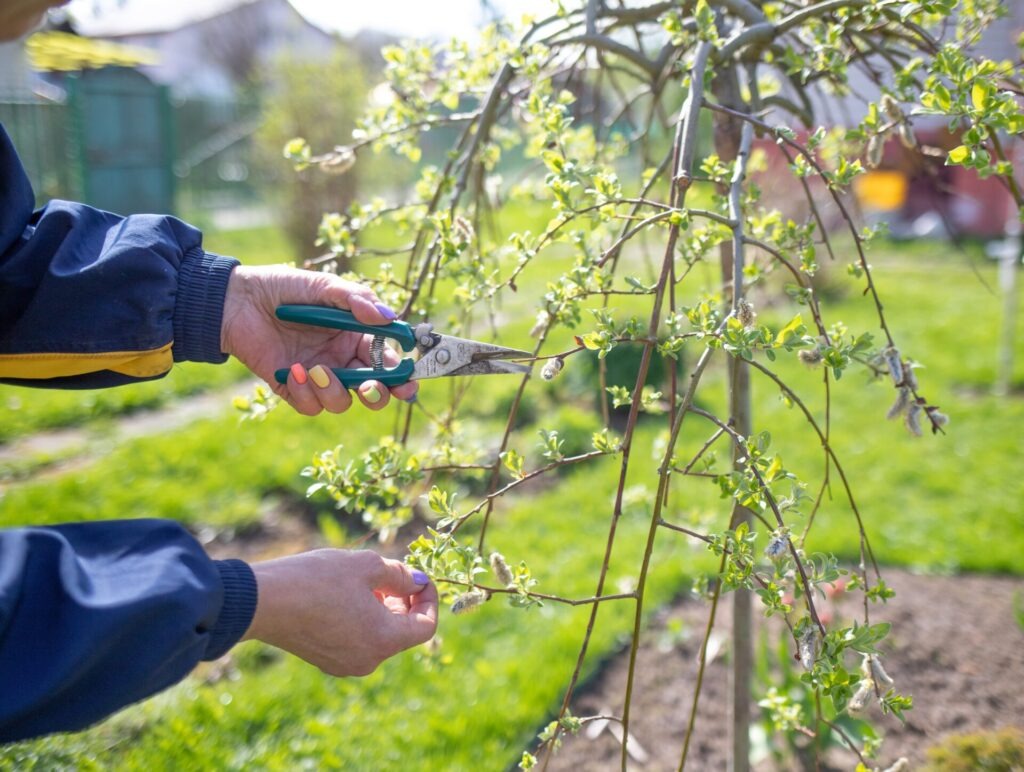 Vente sécateur garden 7