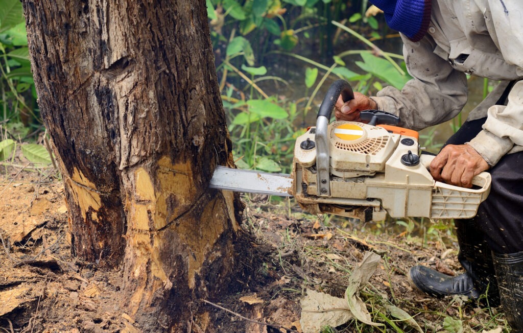 Vente d'outillage spécialisé forestier