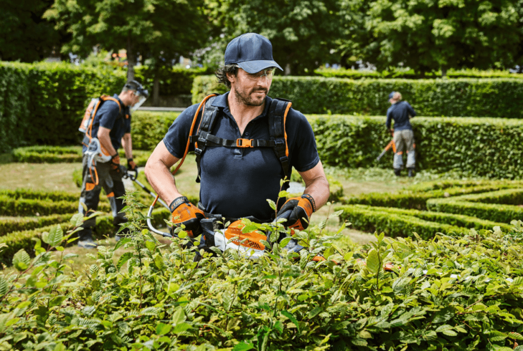 Vente de scie de jardin à main et autres accessoires